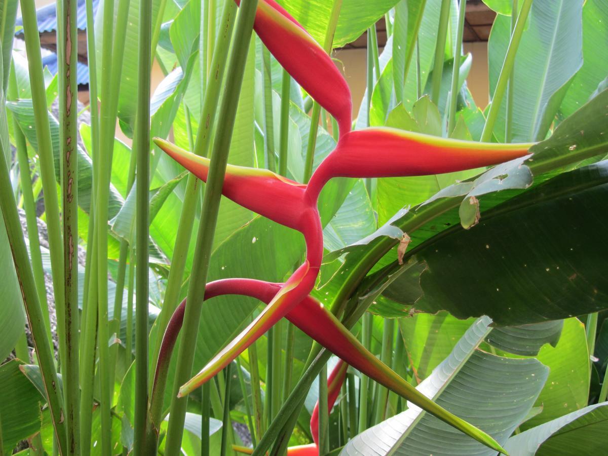 Flower Paradise Bungalows&Swiss Restaurant Roestiland Lamai Beach  Bagian luar foto